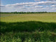 Rolny na sprzedaż - Dolina, Drawno, Choszczeński, 33 900 m², 167 000 PLN, NET-INB20398