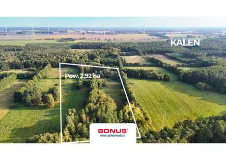 Działka na sprzedaż - Kaleń, Świerzno, Kamieński, 29 200 m², 150 000 PLN, NET-BON46420