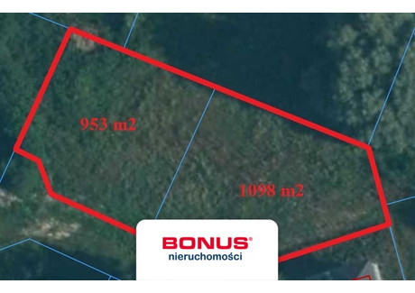 Działka na sprzedaż - Dołuje, Dobra (szczecińska), Policki, 1098 m², 200 000 PLN, NET-BON20064