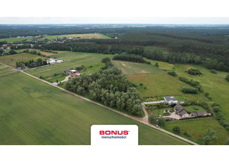 Działka na sprzedaż - Dąbrówka Leśna, Oborniki, Obornicki, 12 000 m², 499 000 PLN, NET-BON45651