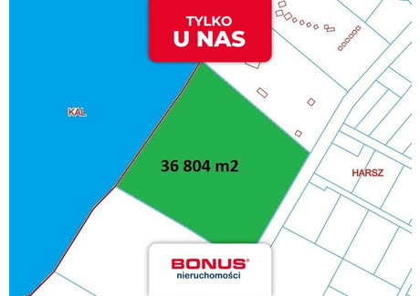 Działka na sprzedaż - Harsz, Pozezdrze, Węgorzewski, 36 804 m², 9 999 000 PLN, NET-BON43291