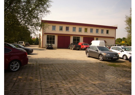 Lokal do wynajęcia - Mierzyn, Dobra (szczecińska), Policki, 360 m², 13 000 PLN, NET-SWN31694