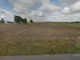 Rolny na sprzedaż - Agnieszkowo, Szczutowo, Sierpecki, 3000 m², 132 000 PLN, NET-SWN31592