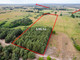 Rolny na sprzedaż - Żarnówko, Stepnica, Goleniowski, 39 626 m², 350 000 PLN, NET-SWN31527