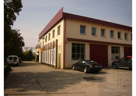 Lokal do wynajęcia - Mierzyn, Dobra (szczecińska), Policki, 45 m², 1800 PLN, NET-SWN31695