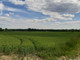 Rolny na sprzedaż - Wiejska Toruń, Toruń M., 17 806 m², 1 780 600 PLN, NET-ZAG-GS-5233