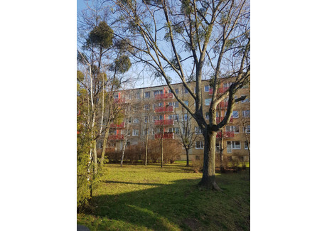 Mieszkanie na sprzedaż - os. Pod Lipami Winogrady, Poznań, wielkopolskie, 47,6 m², 475 000 PLN, NET-gratka-33441347