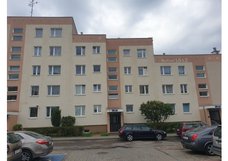 Mieszkanie na sprzedaż - Elbląg, warmińsko-mazurskie, 51,4 m², 117 295 PLN, NET-gratka-32336265