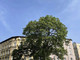 Mieszkanie na sprzedaż - Ołbińska Śródmieście, Wrocław, dolnośląskie, 37,27 m², 430 000 PLN, NET-gratka-34276435