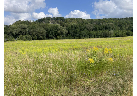 Działka na sprzedaż - Wojcieszów, Wojcieszów, złotoryjski, dolnośląskie, 1 490 000 m², 8 000 000 PLN, NET-gratka-35345147