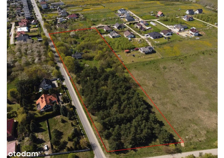 Działka na sprzedaż - Warzywna Tryszczyn, Koronowo, bydgoski, kujawsko-pomorskie, 15 100 m², 1 440 000 PLN, NET-gratka-38521065