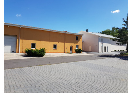 Przemysłowy na sprzedaż - Kobyla Góra, Kobyla Góra, ostrzeszowski, wielkopolskie, 951 m², 3 000 050 PLN, NET-gratka-35263911