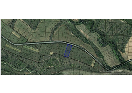 Działka na sprzedaż - с. Баня, на 2 км от Иракли/s. Bania, na 2 km ot Irakli Бургас/burgas, Bułgaria, 7500 m², 161 823 USD (661 857 PLN), NET-98917094