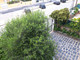 Komercyjne do wynajęcia - Almada, Portugalia, 80 m², 2145 USD (8560 PLN), NET-96978747