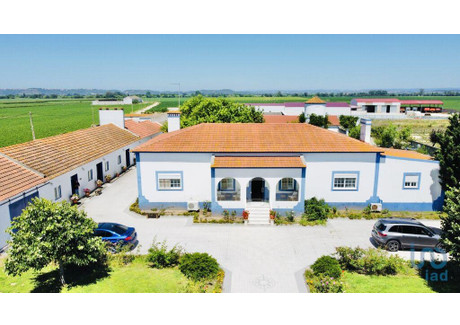 Dom na sprzedaż - Gouxaria, Portugalia, 183 m², 700 139 USD (2 863 569 PLN), NET-98832752