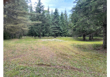 Działka na sprzedaż - Ch. de la Presqu'île, Lac-Simon, QC J0V1E0, CA Lac-Simon, Kanada, 4788 m², 162 896 USD (676 018 PLN), NET-99930613