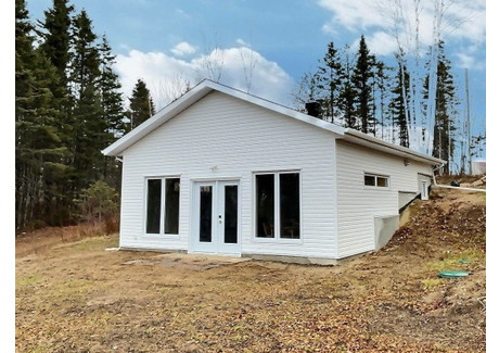 Dom na sprzedaż - 80 Ch. du Lac-Tortu, Saint-David-de-Falardeau, QC G0V1C0, CA Saint-David-De-Falardeau, Kanada, 75 m², 182 027 USD (740 850 PLN), NET-102508921