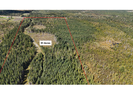 Działka na sprzedaż - Route 108 O., Stornoway, QC G0Y1N0, CA Stornoway, Kanada, 206 642 m², 144 724 USD (581 790 PLN), NET-100576057