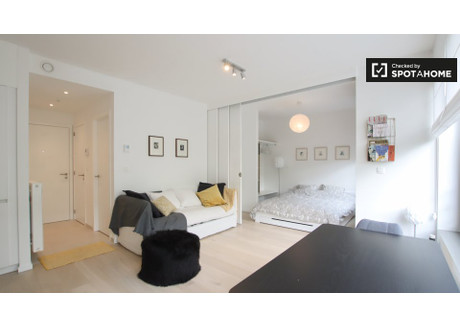 Mieszkanie do wynajęcia - Brussels, Belgia, 45 m², 978 USD (3822 PLN), NET-78512500