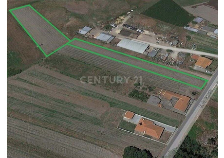 Działka na sprzedaż - Estarreja, Portugalia, 4090 m², 38 973 USD (150 825 PLN), NET-96118016