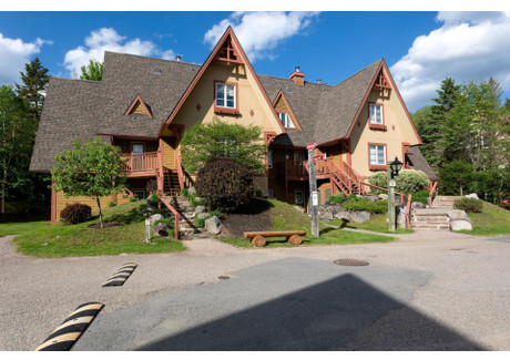 Mieszkanie na sprzedaż - 218 Ch. de la Forêt Mont-Tremblant, Kanada, 67 m², 316 884 USD (1 289 717 PLN), NET-102858029