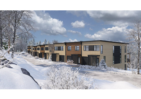 Dom na sprzedaż - 100 Allée Pangman Mont-Tremblant, Kanada, 260,13 m², 888 483 USD (3 420 660 PLN), NET-97014730