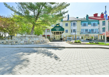 Mieszkanie na sprzedaż - 3035 Ch. de la Chapelle Mont-Tremblant, Kanada, 62,71 m², 244 612 USD (995 569 PLN), NET-97215708