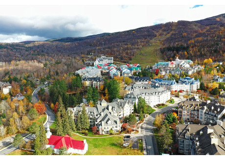 Mieszkanie na sprzedaż - 150 Ch. du Curé-Deslauriers Mont-Tremblant, Kanada, 47,94 m², 204 463 USD (832 163 PLN), NET-99664762