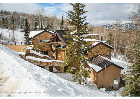 Dom na sprzedaż - 1457 Wood Road Snowmass Village, Usa, 466,65 m², 69 000 USD (286 350 PLN), NET-97019004