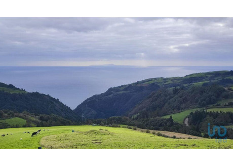 Działka na sprzedaż - Faial Da Terra, Portugalia, 76 632 m², 353 942 USD (1 387 452 PLN), NET-86417060