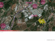 Działka na sprzedaż - SINTRA (SANTA MARIA E SÃO MIGUEL) Sintra, Portugalia, 85 000 m², 7 041 742 USD (27 744 465 PLN), NET-69614568