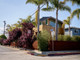 Dom na sprzedaż - 1601 Shell AVE Venice, Usa, 473,81 m², 9 000 000 USD (35 910 000 PLN), NET-97018493