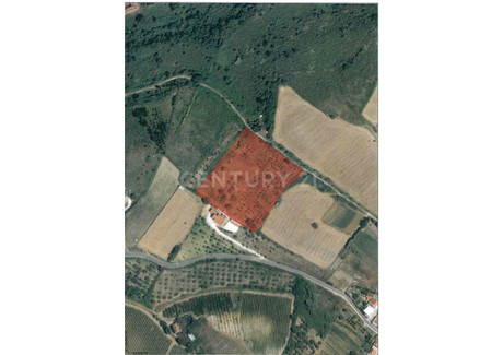 Działka na sprzedaż - Ribafria E Pereiro De Palhacana, Portugalia, 10 600 m², 78 596 USD (328 531 PLN), NET-99039975