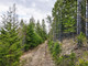 Działka na sprzedaż - TBD Emmons Canyon Road Kalispell, Usa, 80 694,32 m², 235 000 USD (956 450 PLN), NET-97757945