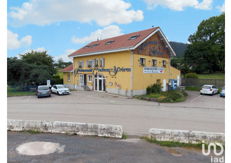 Komercyjne na sprzedaż - Saulcy-Sur-Meurthe, Francja, 438 m², 487 505 USD (1 867 145 PLN), NET-92188212