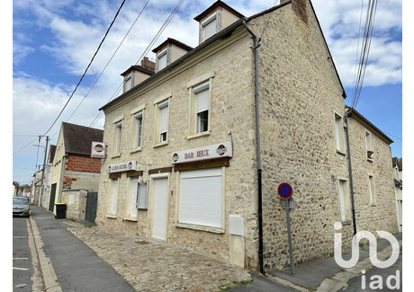 Dom na sprzedaż - Thiers-Sur-Thève, Francja, 300 m², 610 943 USD (2 346 020 PLN), NET-100787344