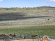 Dom na sprzedaż - 16 Wild Horse, Park County, MT Wilsall, Usa, 187,29 m², 1 400 000 USD (5 376 000 PLN), NET-95741391