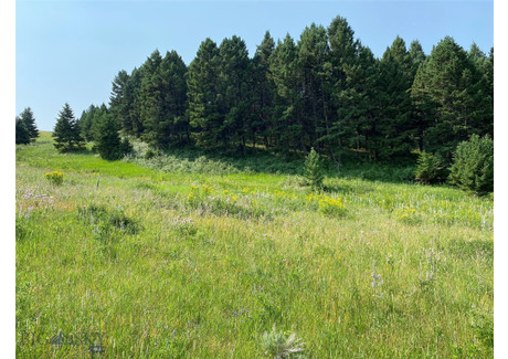 Działka na sprzedaż - TBD Moose Meadows Road, Park County, MT Livingston, Usa, 80 127,76 m², 395 000 USD (1 544 450 PLN), NET-99276430