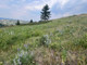 Działka na sprzedaż - TBD Moose Meadows Road, Park County, MT Livingston, Usa, 80 127,76 m², 395 000 USD (1 544 450 PLN), NET-99276430