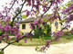 Dom na sprzedaż - Bonnes, Francja, 174 m², 180 737 USD (726 563 PLN), NET-97050532