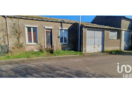 Dom na sprzedaż - Boynes, Francja, 58 m², 105 515 USD (431 555 PLN), NET-100921965