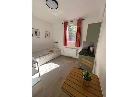 Mieszkanie do wynajęcia - Kolbegasse Vienna, Austria, 25 m², 1578 USD (6342 PLN), NET-100503029