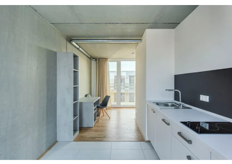 Mieszkanie do wynajęcia - Deulstraße Berlin, Niemcy, 40 m², 1102 USD (4234 PLN), NET-100854188