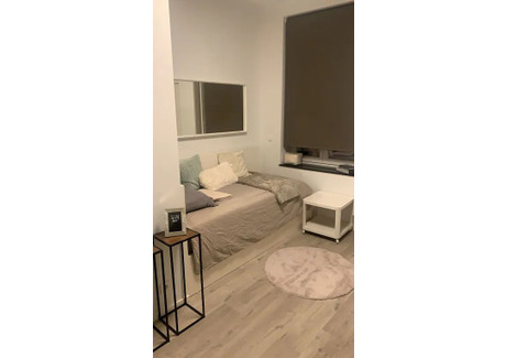 Mieszkanie do wynajęcia - Rue du Prince Royal Ixelles, Belgia, 25 m², 877 USD (3594 PLN), NET-100999048