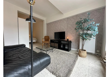 Mieszkanie do wynajęcia - Rue de la Reinette Brussels, Belgia, 45 m², 1439 USD (5527 PLN), NET-95575716