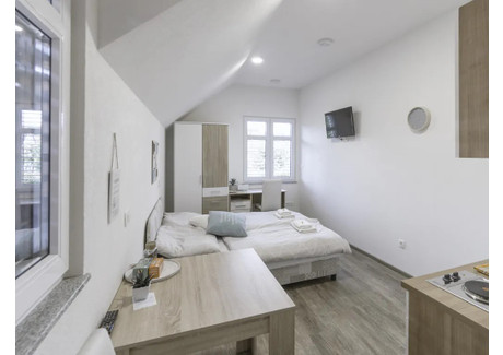 Mieszkanie do wynajęcia - Krakovska ulica Ljubljana, Słowenia, 25 m², 408 USD (1628 PLN), NET-96988482