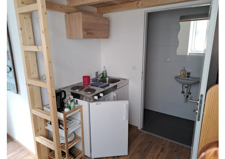 Mieszkanie do wynajęcia - Pernerstorfergasse Vienna, Austria, 25 m², 1102 USD (4220 PLN), NET-97405375