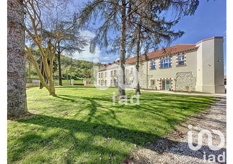 Dom na sprzedaż - Castelnau-Rivière-Basse, Francja, 800 m², 1 371 691 USD (5 733 670 PLN), NET-97047881