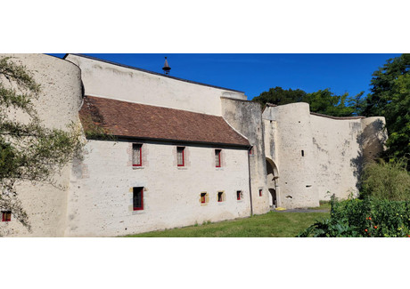 Dom na sprzedaż - Romorantin Lanthenay, Francja, 198 m², 1 013 473 USD (4 145 104 PLN), NET-97281133