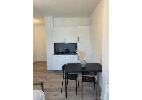 Mieszkanie do wynajęcia - Neckarstraße Stuttgart, Niemcy, 22 m², 1143 USD (4687 PLN), NET-100534267